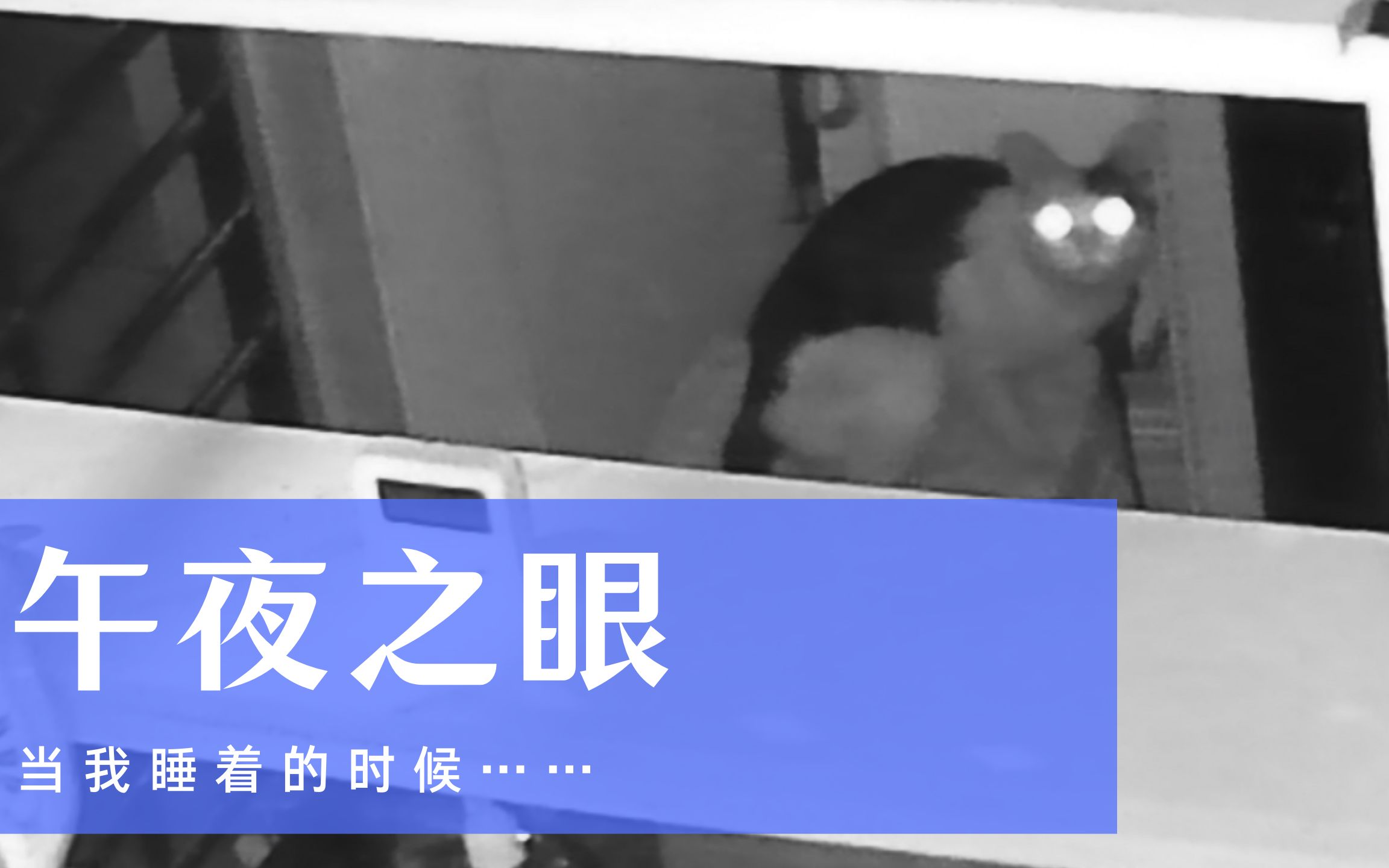 午夜之眼哔哩哔哩bilibili