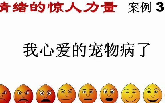 [图]《情绪的惊人力量》39 案例30 我心爱的宠物病了 吸引力法则的实际应用分析