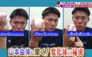 山本由里 搜索结果 哔哩哔哩 Bilibili 山本由里 搜索结果 哔哩哔哩 Bilibili