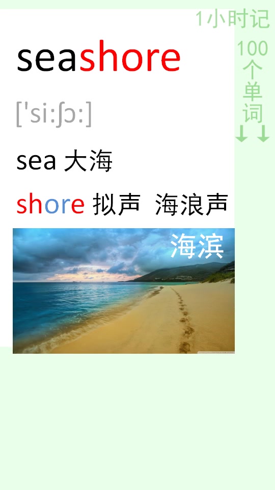 [图]1小时记100个单词 seashore