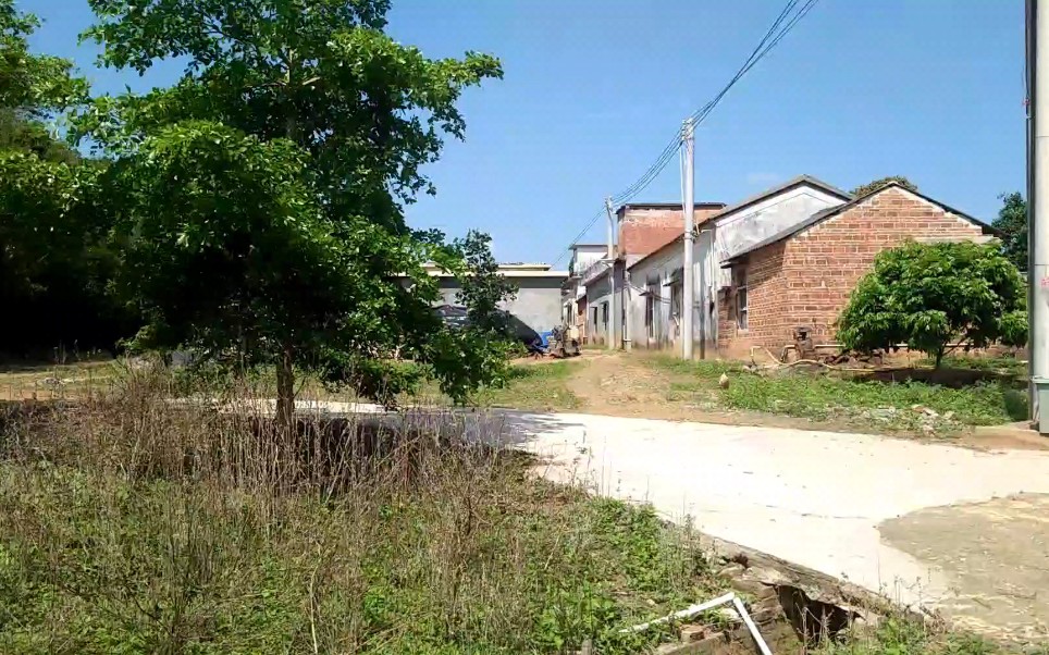 雷州市龙门镇后排管区南坡村