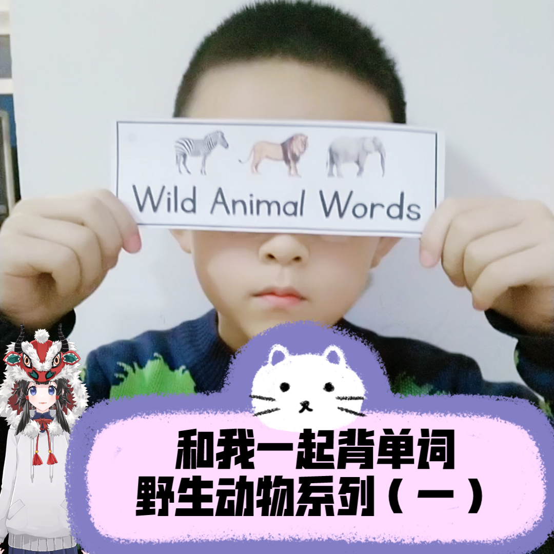 活动  【英语单词】和我一起背单词|野生动物系列(一)|猎豹