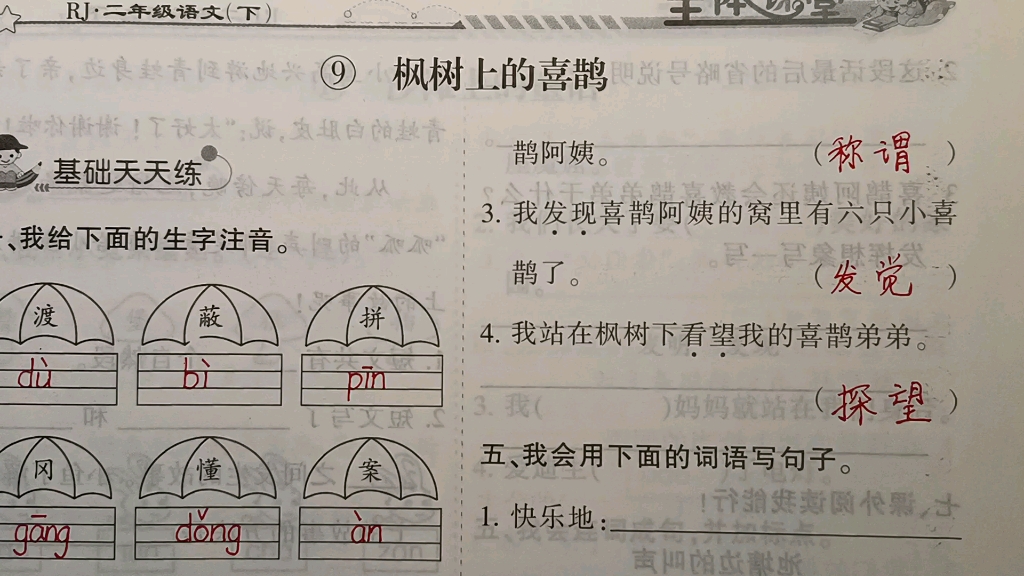 [图]二年级语文下册：9《枫树上的喜鹊》，造句要注意这个问题