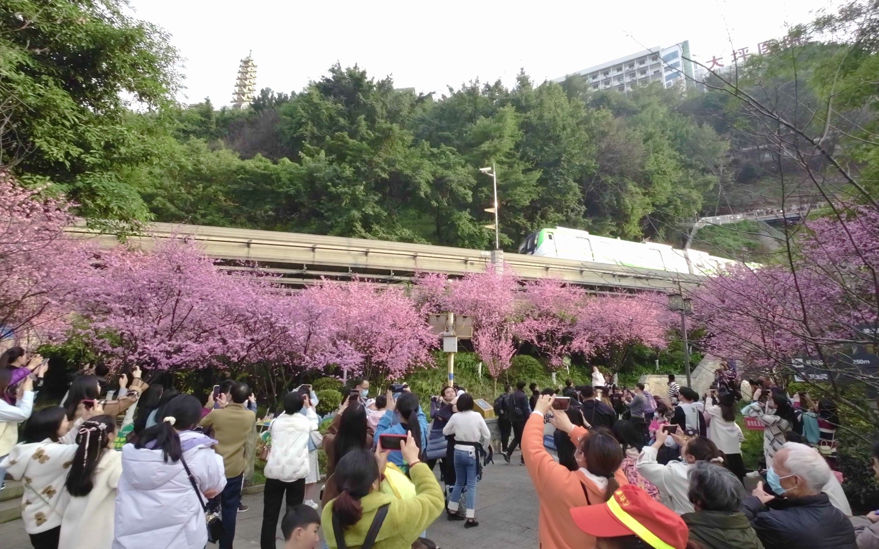 [图]重庆 开往春天的列车