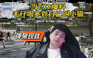 Download Video: 【解说猫猫】当TXT爆料毛仔喝多了说自己是小猫后 弹幕彻底疯狂 毛仔：我不是小猫我不是小猫！