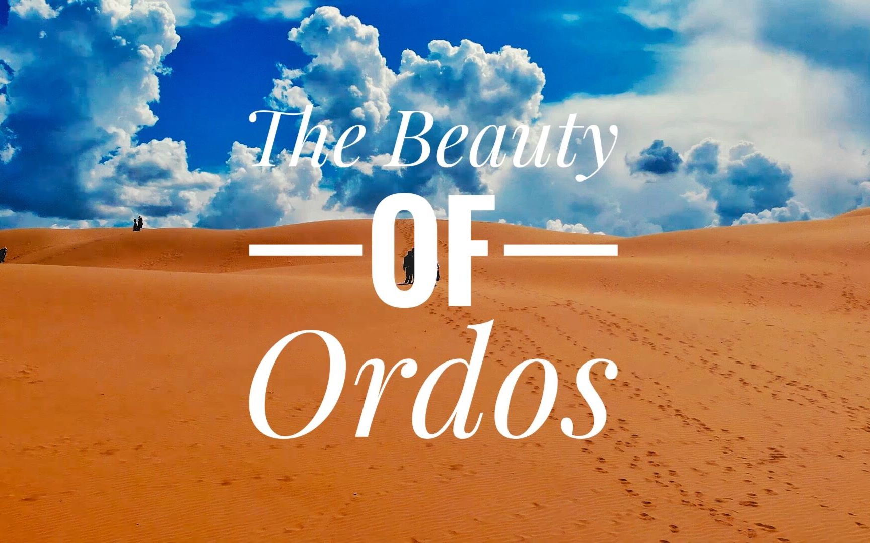 ☞※★金色天堂—这才是鄂尔多斯★※☜| The Beauty Of Ordos|【航拍沙漠&草原】哔哩哔哩bilibili