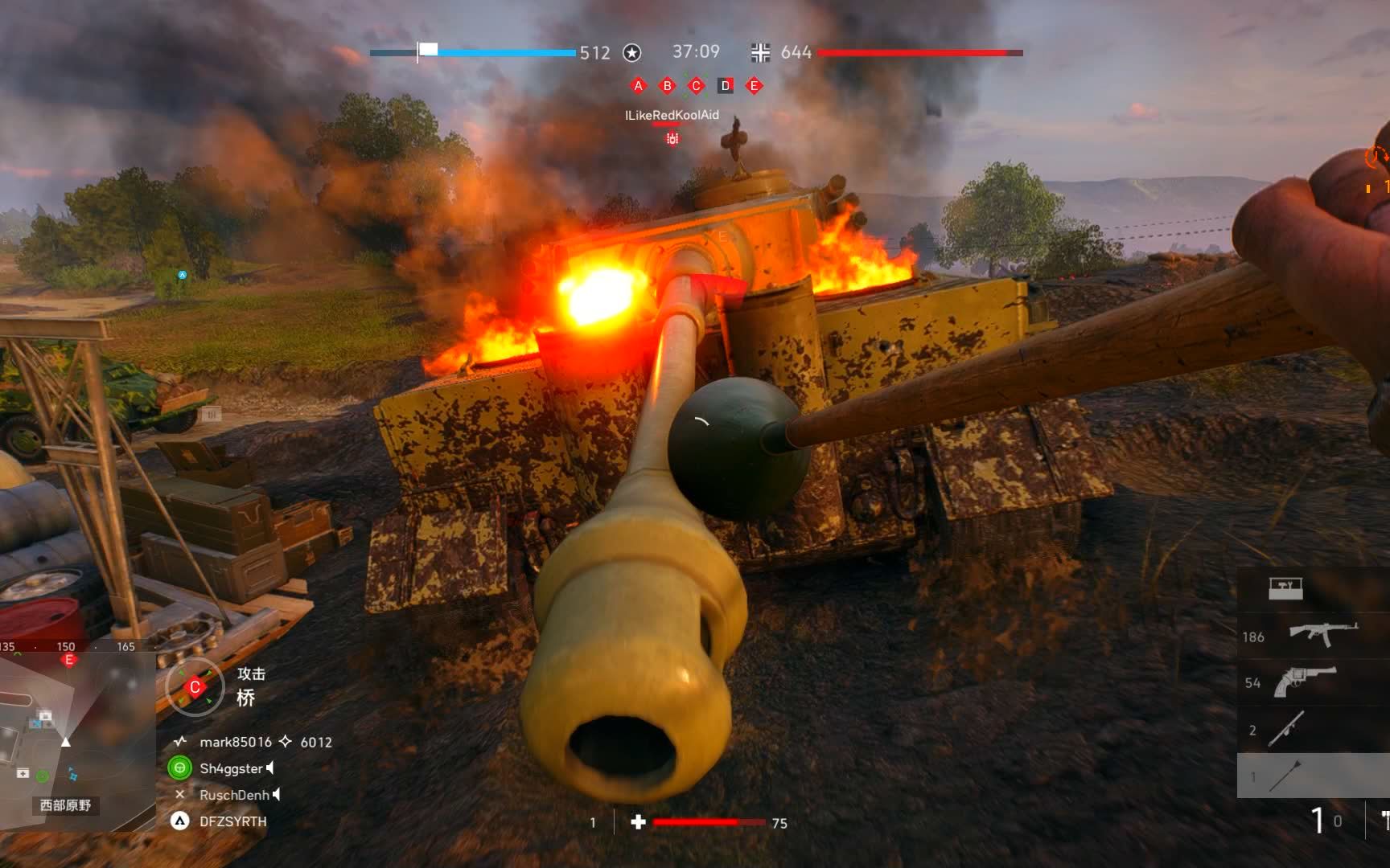 我刺雷!_战地5_第一视角