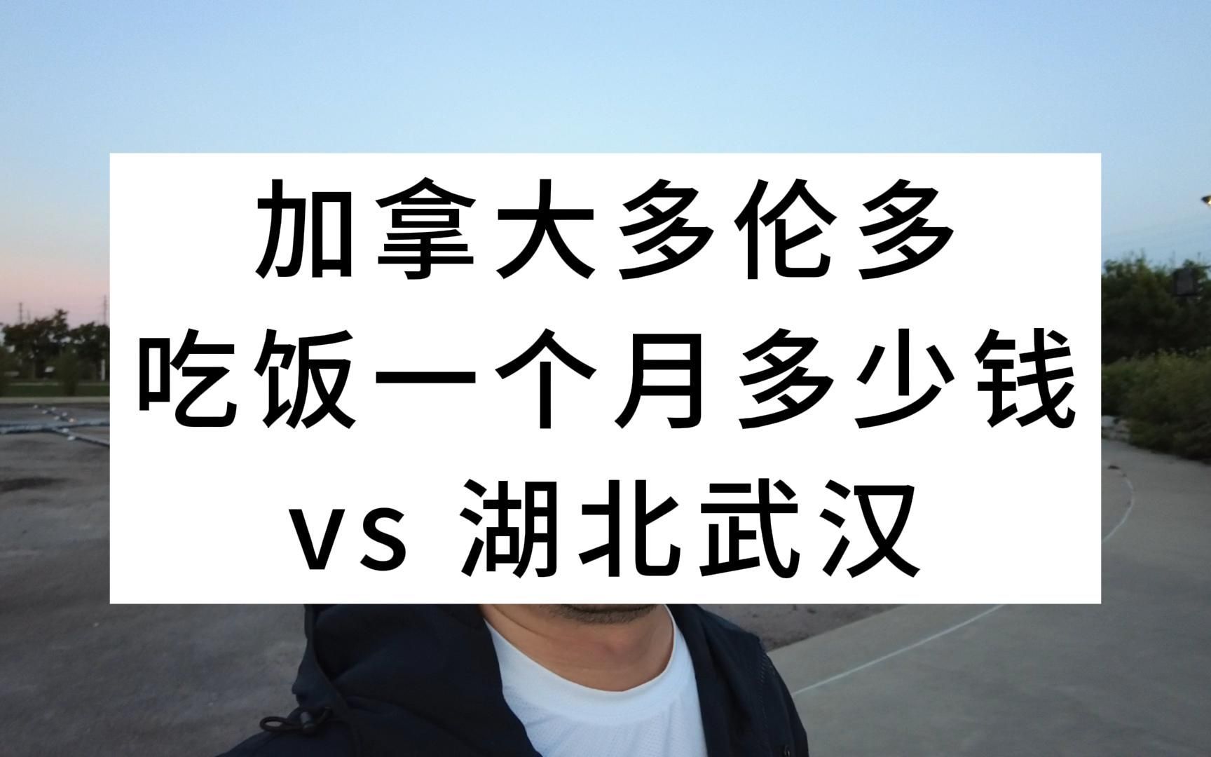 加拿大多伦多吃饭一个月多少钱vs湖北武汉哔哩哔哩bilibili