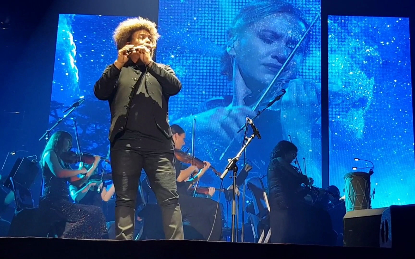 pedro eustache 演奏狮子王 the world of hans zimmer (lion king)