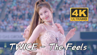 4K60帧】TWICE - FANCY(230521 TWICE 5th World Tour Ready To Be in