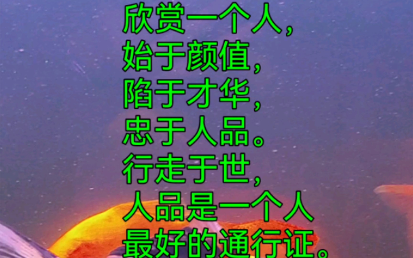 人们常说,欣赏一个人,始于颜值,陷于才华,忠于人品.行走于世,人品是一个人最好的通行证.品行不端的人,快乐一时,却输了一世.哔哩哔哩bilibili