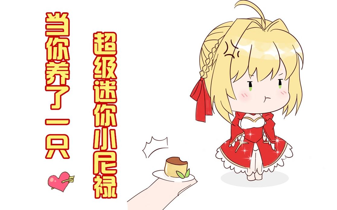 当你养了一只超级迷你小尼禄唔姆唔姆