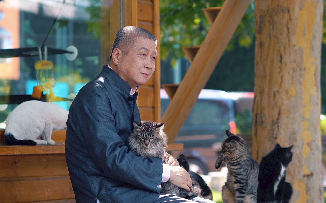 马未都为何说:年轻时喜欢狗,年纪大了喜欢猫_哔哩哔哩 (゜-゜)つロ