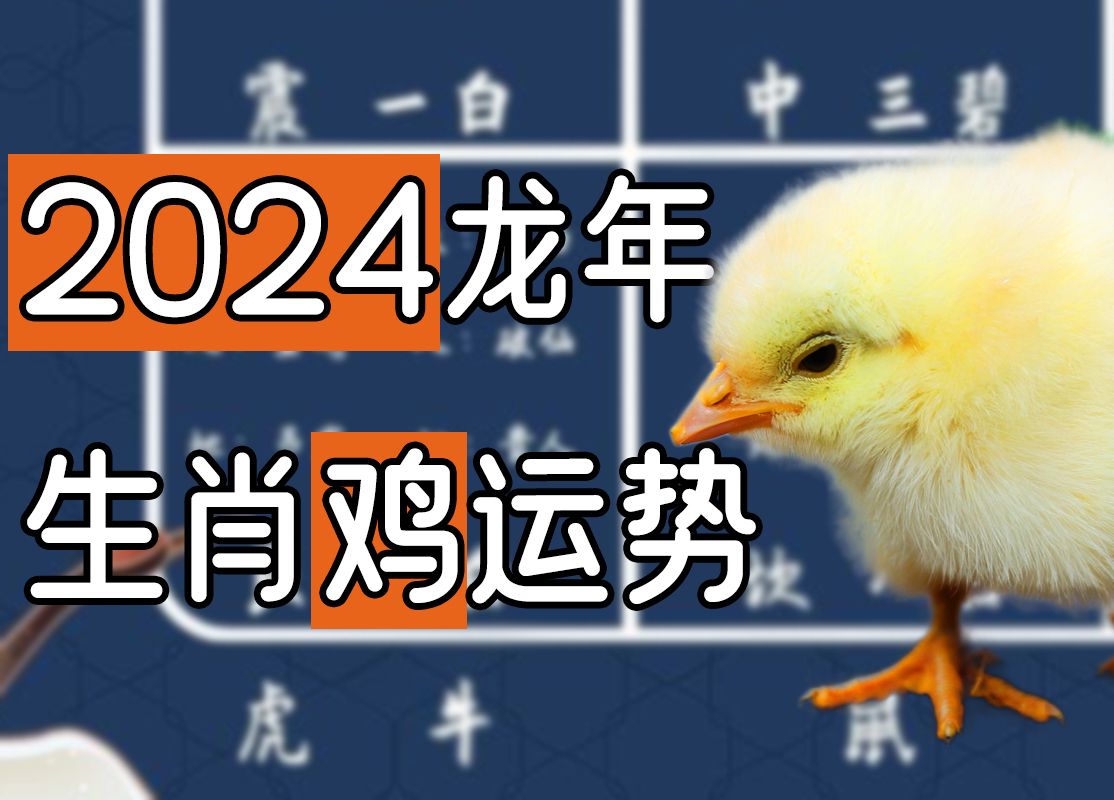 2024年生肖鸡运势详解 69 81 93 05年出生尤其要注意!哔哩哔哩bilibili