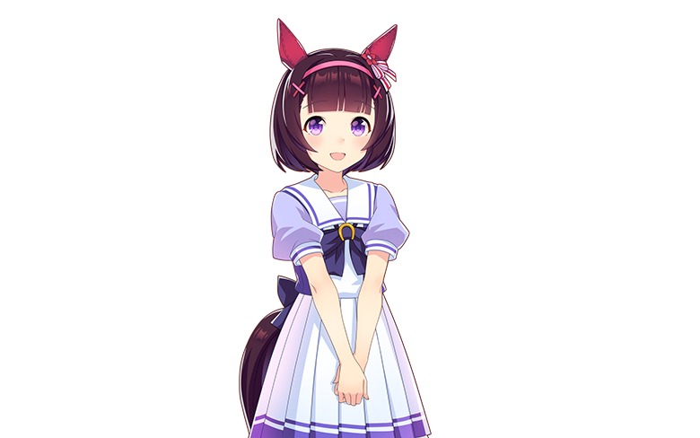 赛马20世纪的名马第100位nishinoflower西野花