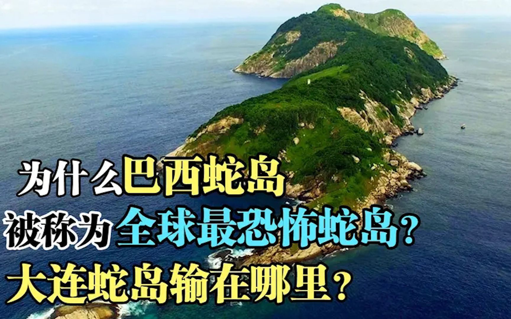 为什么巴西蛇岛被称为,全球最恐怖蛇岛?我国大连蛇岛输在哪里?哔哩哔哩bilibili