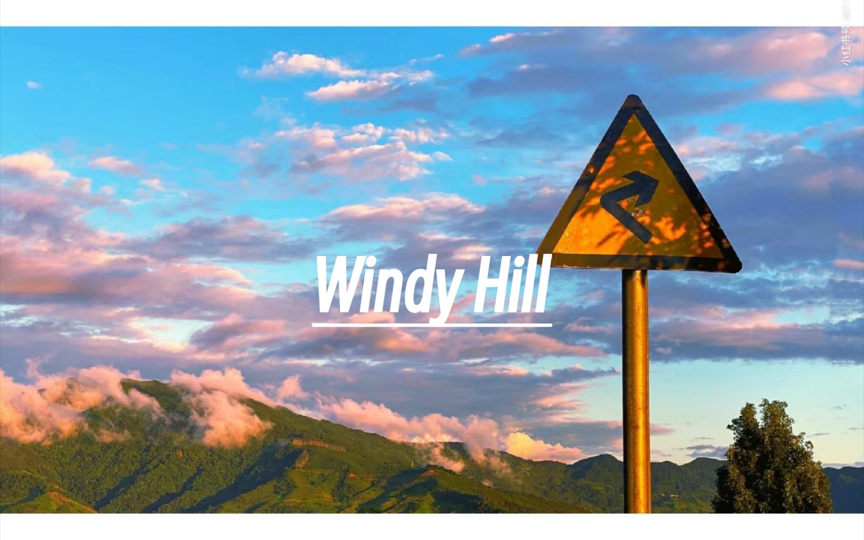 [图]“最终还是沉溺在暖风之中.....”《Wind Hill》