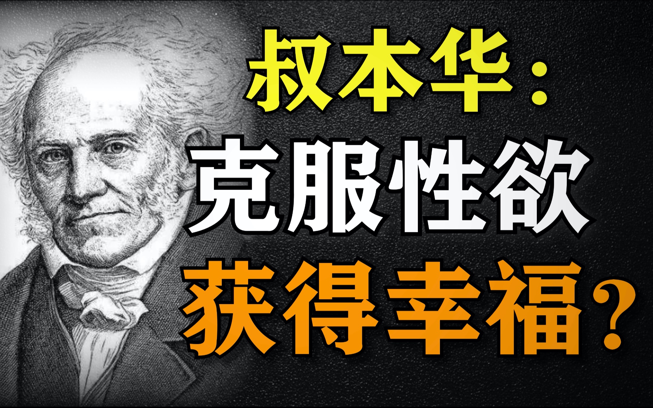 【叔本华】禁欲主义:如何摆脱人生的痛苦和无聊?(中)|叔本华的“否定生命意志”是否被人们所误解?|幸福和快乐的真相是怎样的?哔哩哔哩bilibili