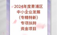 2024年度青浦区中小企业发展(专精特新)专项扶持资金项目哔哩哔哩bilibili