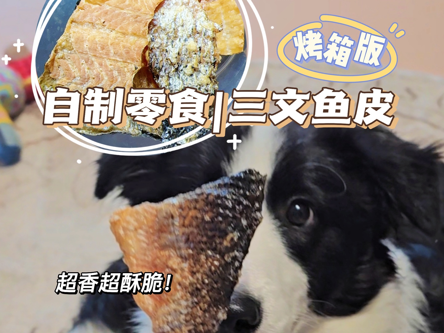 宠物自制零食|三文鱼皮(烤箱版)哔哩哔哩bilibili