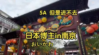 Download Video: 【熟肉】日本博主（おいかわ）南京单人游 作为外国人旅游还是有诸多不便