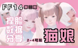 Download Video: 【FF14/捏脸数据分享】猫娘2~4号脸