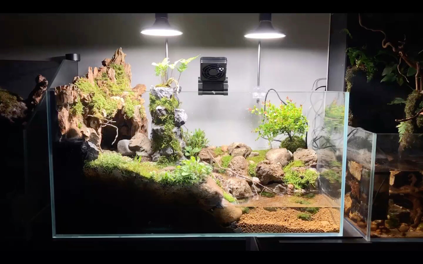 假山溪流瀑布乌龟水陆缸造景