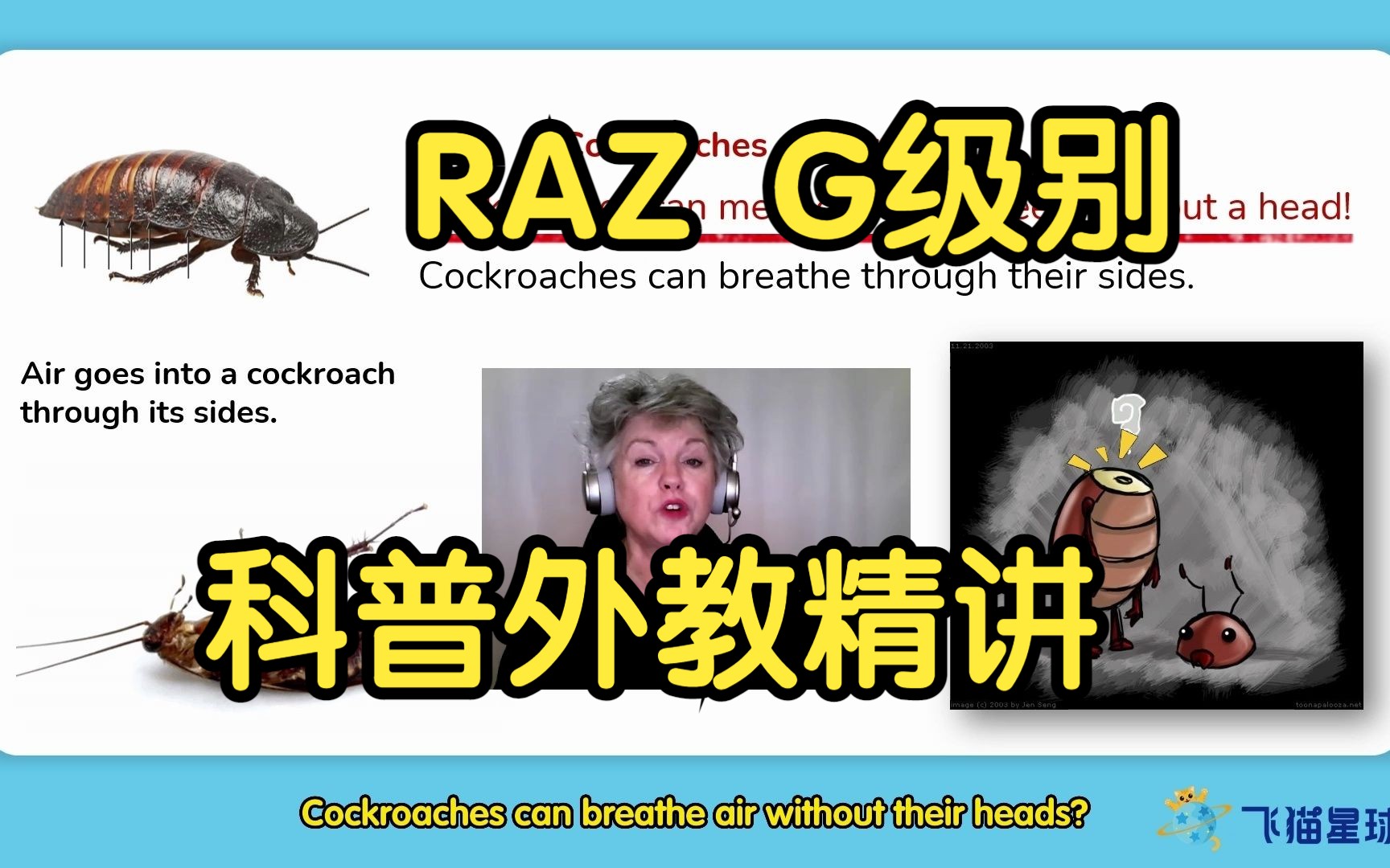 RAZ G级别 | 蟑螂 | 外教精讲哔哩哔哩bilibili