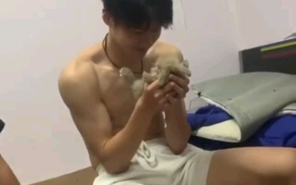 [图][小狼狗与他的小灰兔]猛男的反差温柔，魂穿兔兔了姐妹们