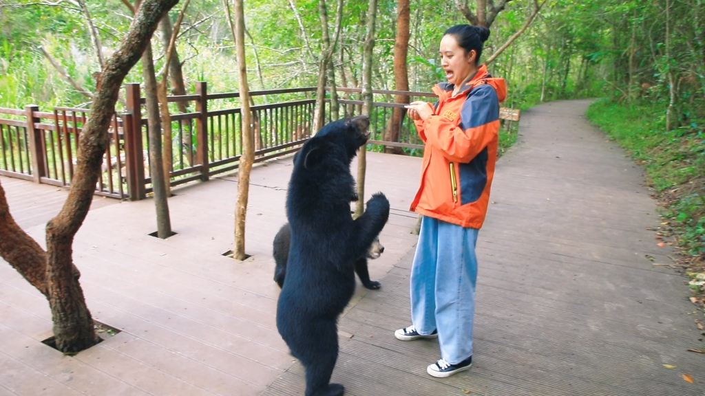 [图]贪吃的小熊，吓到小姐姐了