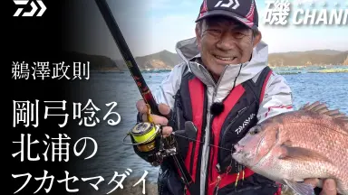 DAIWA-哔哩哔哩_Bilibili DAIWA-哔哩哔哩_Bilibili