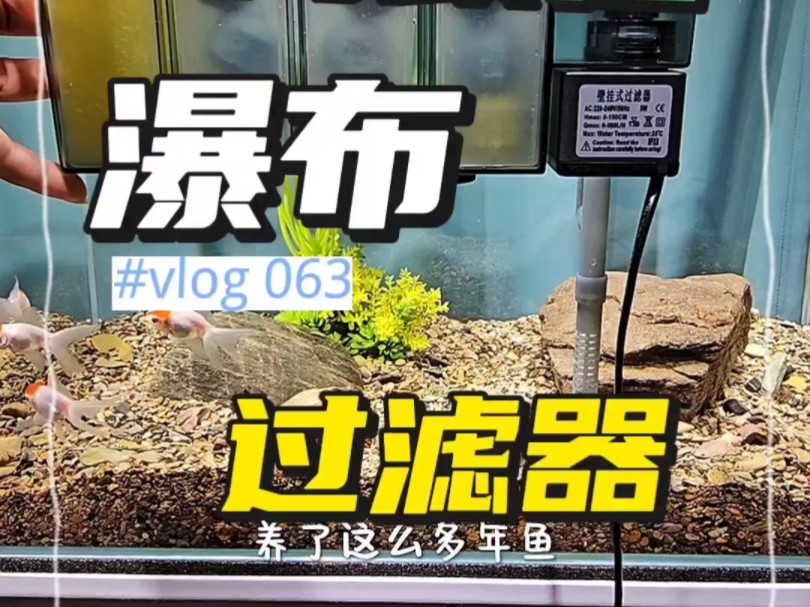 鱼缸过滤器壁挂过滤桶外置小型三合一静音外挂式除油膜水循环 #观赏鱼