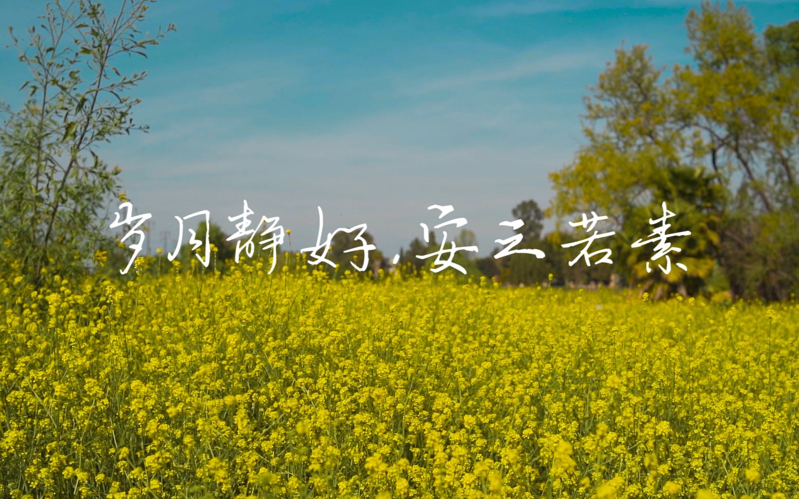 岁月静好,安之若素