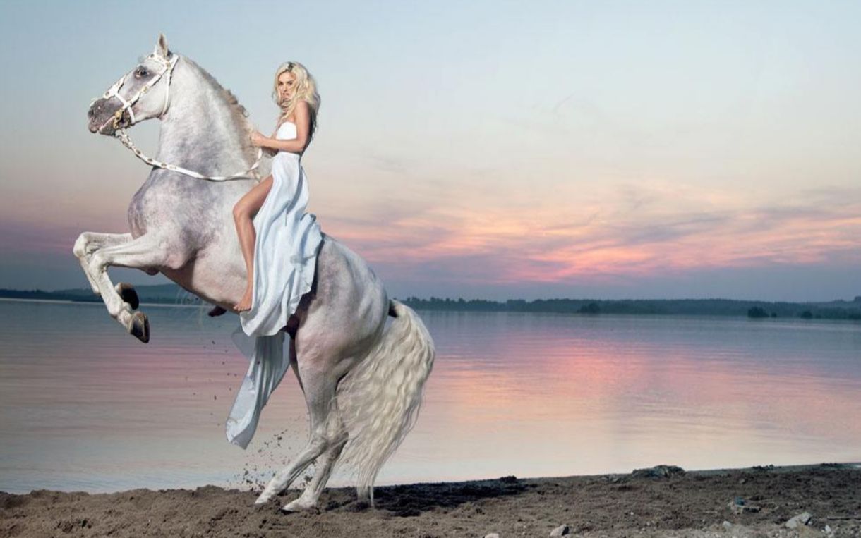 被称为"世上最美的马",一匹价值6500万人民币,还