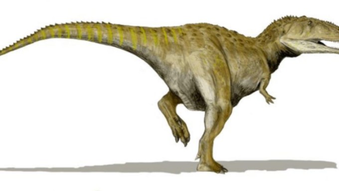 一种大型的兽脚类恐龙:马普龙.体长约为11.1米,体重可达5吨,是一种大型兽脚类恐龙,生存于晚白垩纪的阿根廷,属于异特龙超科鲨齿龙类.哔哩哔哩...