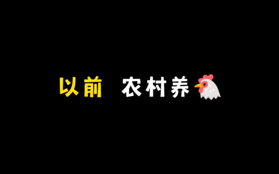 《养鸡》哔哩哔哩bilibili