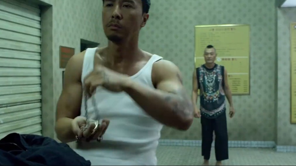 逐招拆解,甄子丹巴西柔术vs泰拳 卢惠光