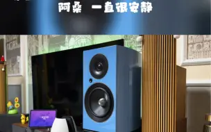 Download Video: 尊宝JAMO C709PA+J10SUB 阿桑  一直很安静