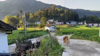 Descargar video: “我多么希望有一天我醒过来，发现我还是小时候，做了一个好长好长好长的一个梦……”