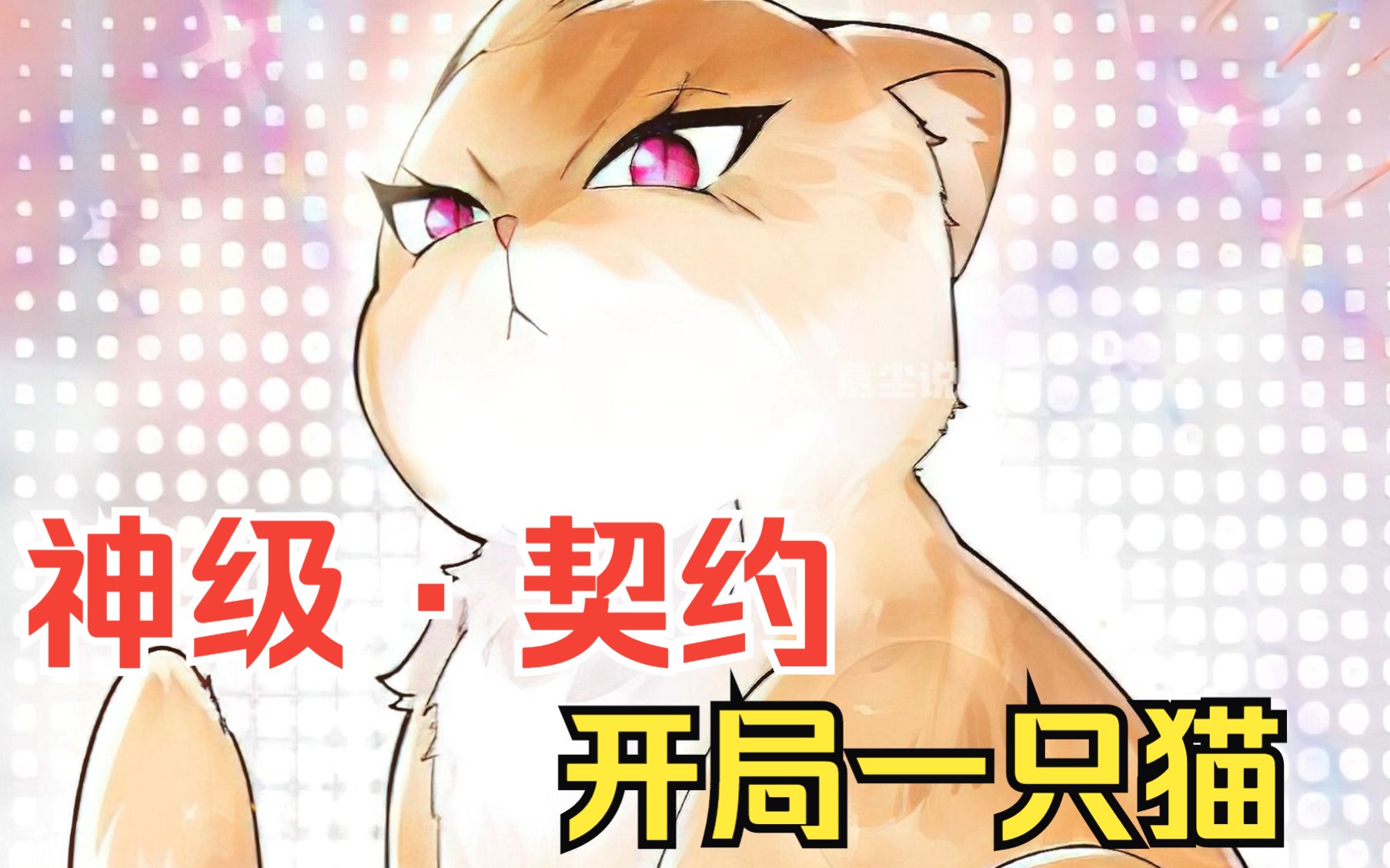 神级契约开局一只猫第1集,玄夜召唤兽竟然是一只最强胖猫