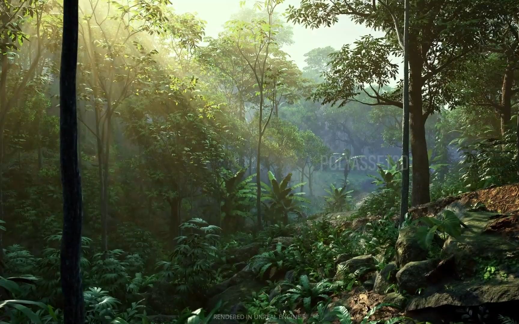 [图]无套路UE5虚幻资产白嫖分享-超写实热带雨林自然森林场景Tropical Rain Forest