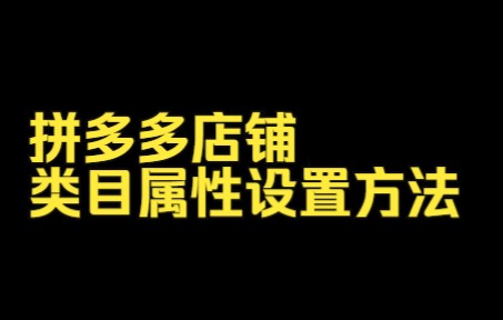 拼多多店铺,商品的类目属性可以这样查找、设置哔哩哔哩bilibili