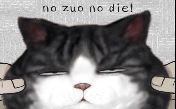 【福袋开箱】no zuo no die . why you try !
