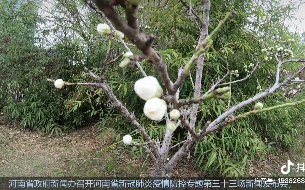 一级降2级!河南疫情风险等级调整!降级代表安全了吗?哔哩哔哩bilibili