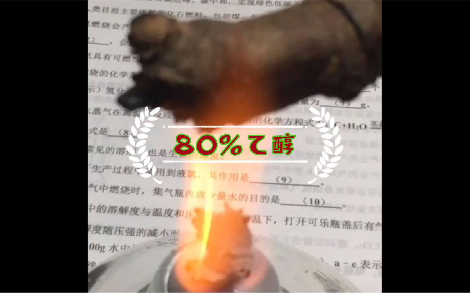 【化学】酒精灯用80%的酒精这样很正常哔哩哔哩bilibili