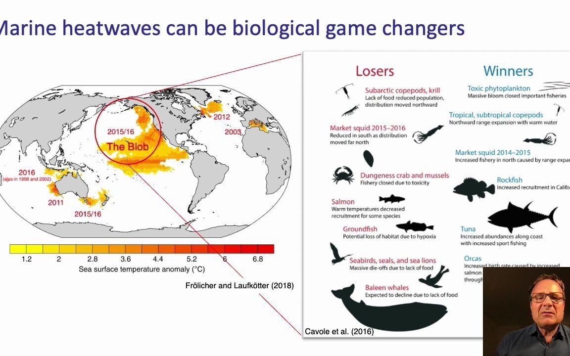 [图]Plenary 4_ Ocean Biogeochemical Extremes and Compound Events