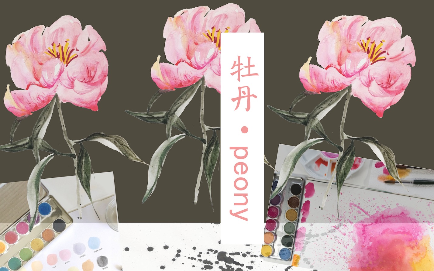 [图]牡丹水彩画/ LA PIVOINE A L'AQUARELLE / PEONY IN WATERCOLOR