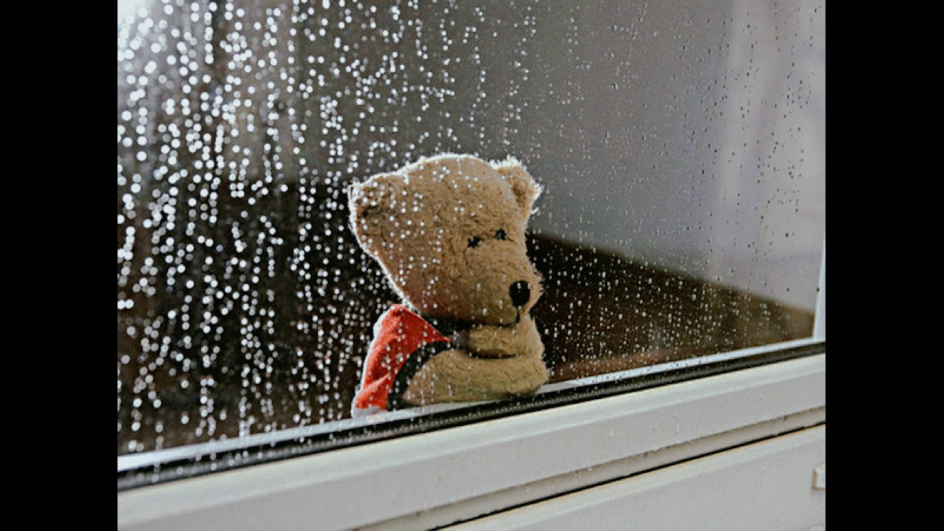 【白噪音助眠】舒适的下雨声