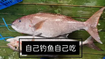 深海鱼刺身さしみ 紫红笛鲷 分解 哔哩哔哩 Bilibili