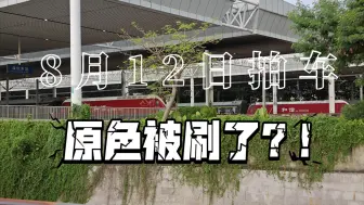 【中国铁路】2024.8.12 深圳东站早间客车群深圳站开行的临客完胜深圳东站